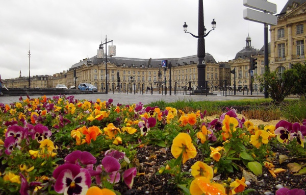 Цветочная клумба в Бордо, Франция