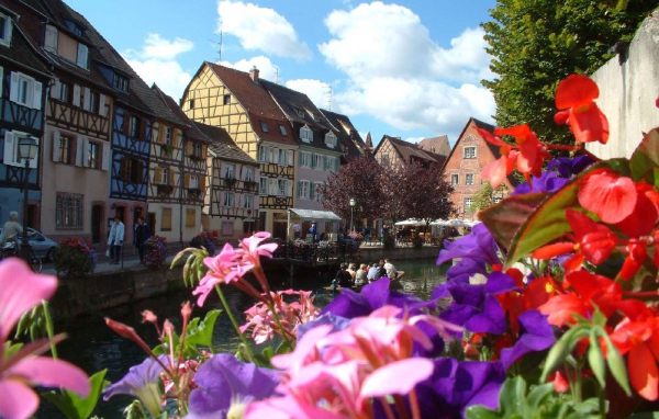 Цветы в Эльзасе, Франция