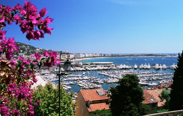 Цветы на фоне порта в Каннах, Франция
