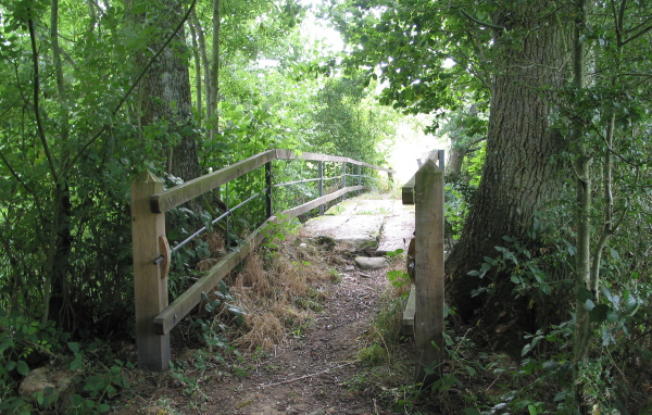 Лесная тропа в Нормандии, Франция