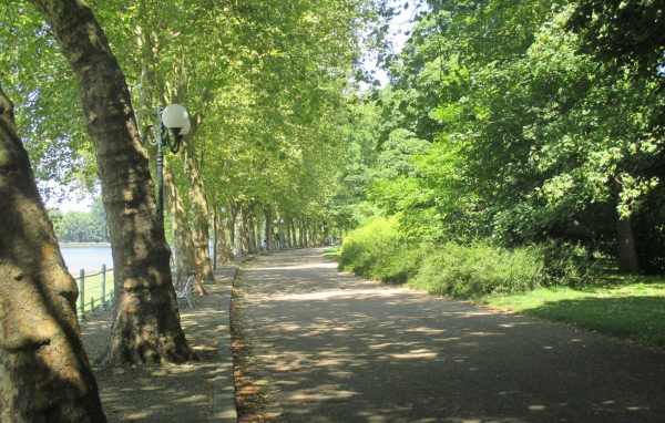 Парковая аллея в городе Виши, Франция