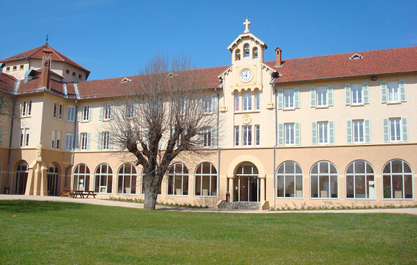Дерево у здания в городе Лион, Франция