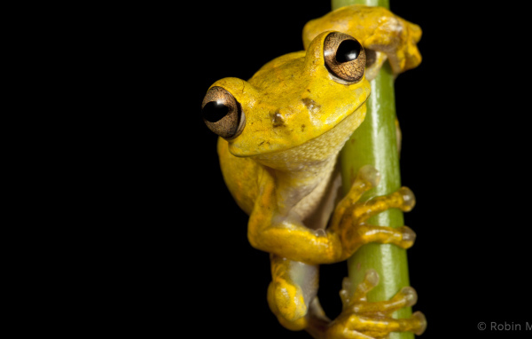 Великолепная страна Гаити