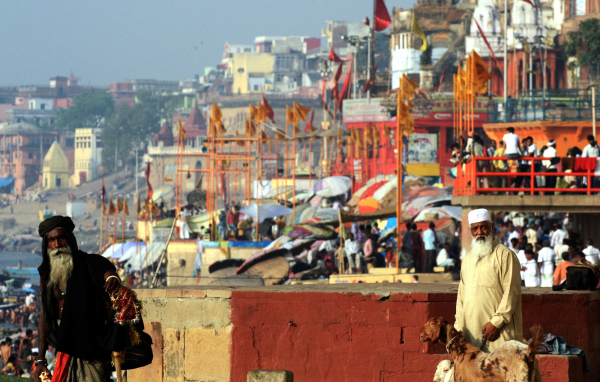 Житель Варанаси с козами