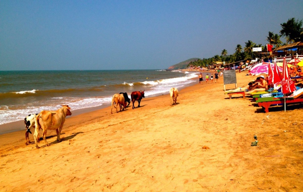 Пляжи в Анджуне