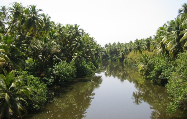 Красивая природа Гоа