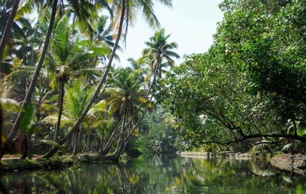 Красивая природа в Алапужа