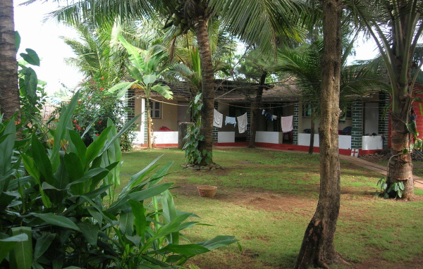 Красивые деревья в Бенаулиме