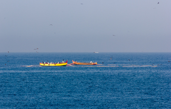 Лодки возле побережья в Варкале