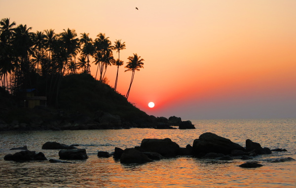 Вечер в Арамболе