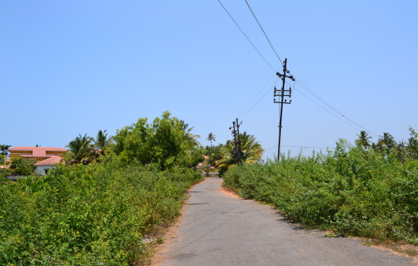 Природа в Бенаулиме