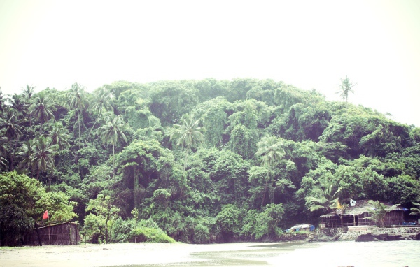 Природа в Вагаторе