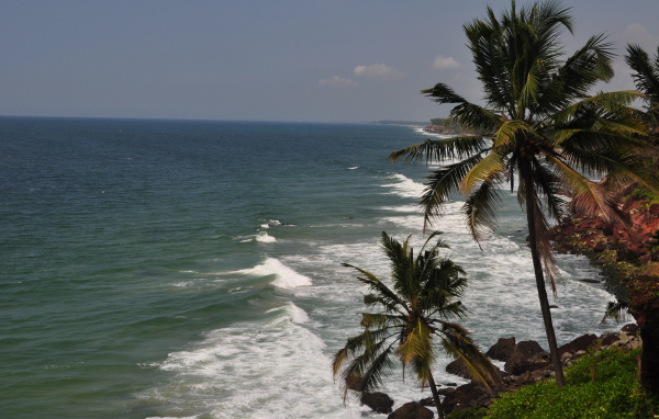 Пальмы на побережье Варкалы