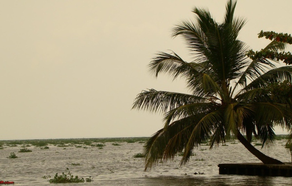Весенний отпуск в Алапуже