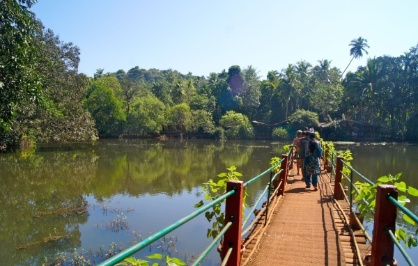 Туристы на мостике в Гоа
