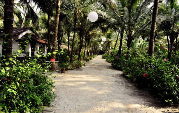 Прогулка по улицам Ашвема