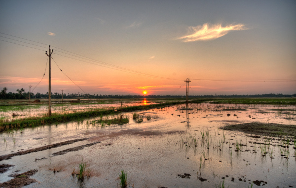Водная местность в Алапуже