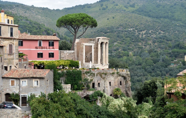 Гнездо хищной птицы в Тиволи, Италия