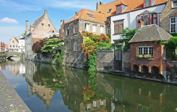 Цветущие растения в Венеции, Италия