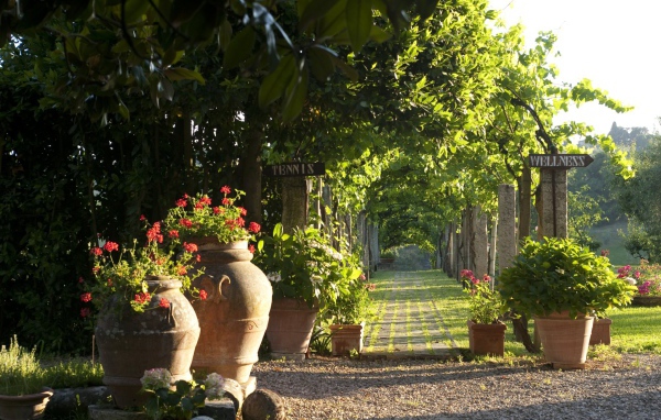 Зеленая аллея в Сиене, Италия