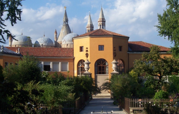 Орто Ботанико в Падуе, Италия