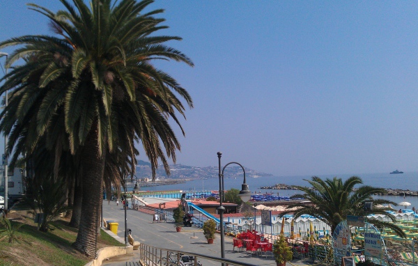 Пальмы на берегу в Сан Ремо, Италия