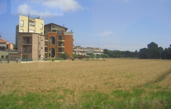 Пшеничное поле в Сан Марино, Италия