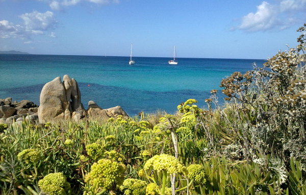 Яхты в заливе на курорте в Пьетра Лигуре, Италия