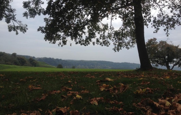 Осень в Кернаве, Литва