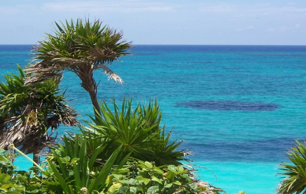 Солнечное Мексика