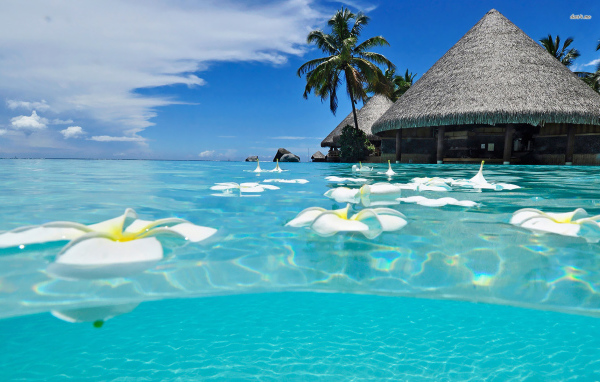 Популярная страна Мексика