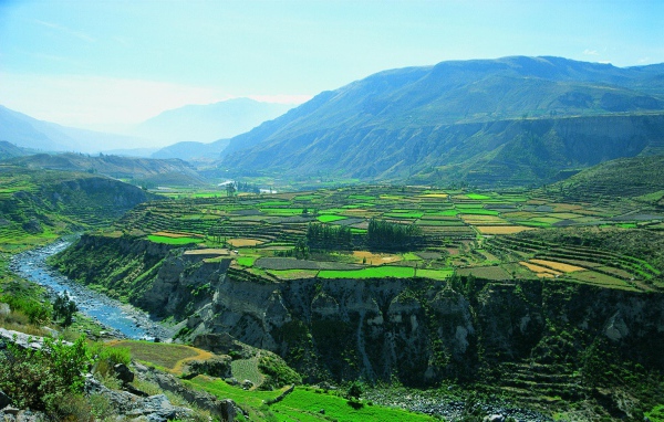 The nature of Peru