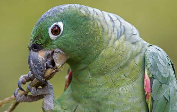 Эффектное Перу