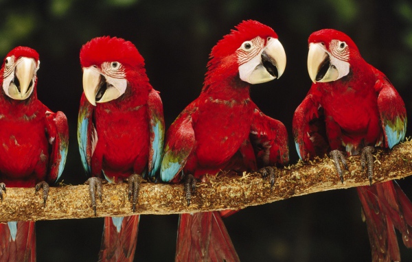 Впечатляющие место в Перу