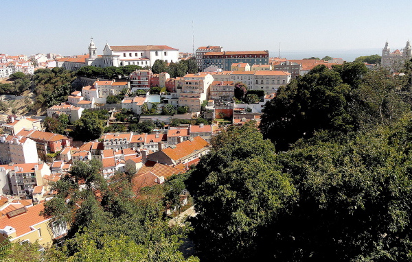 Деревья на фоне Лиссабона