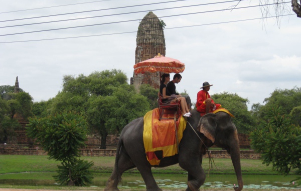 Прогулка на слоне на курорте Чианг Май, Таиланд