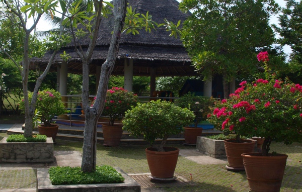 Беседка в саду на острове Самуи, Таиланд