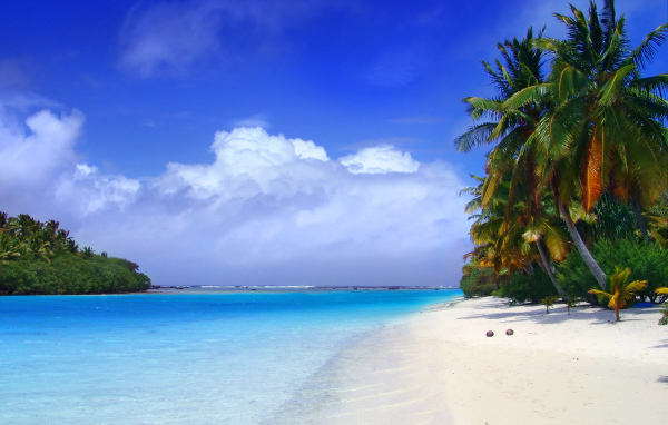 Пальмы на пляже в Пхукете, Таиланд