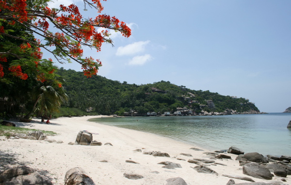 Песчаный пляж на острове Тао, Таиланд