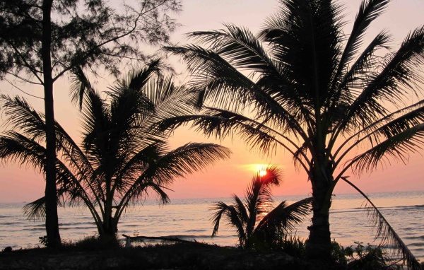 Закат среди пальм на острове Ко Куд, Таиланд