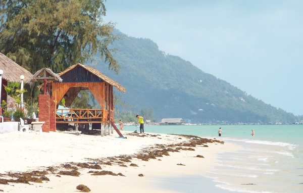 Зимний отдых на острове Панган, Таиланд