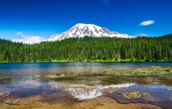 Национальный парк Маунт-Рейнир недалеко от Сиэтла, США