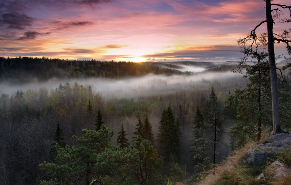 Национальный парк Нууксио, Финляндия
