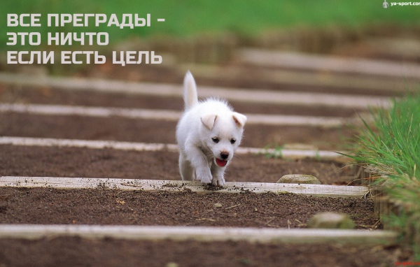 Иди к своей цели