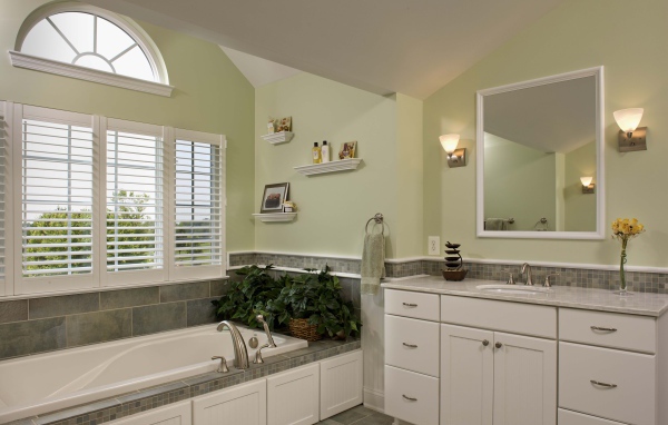 Зеленые растения в ванной комнате