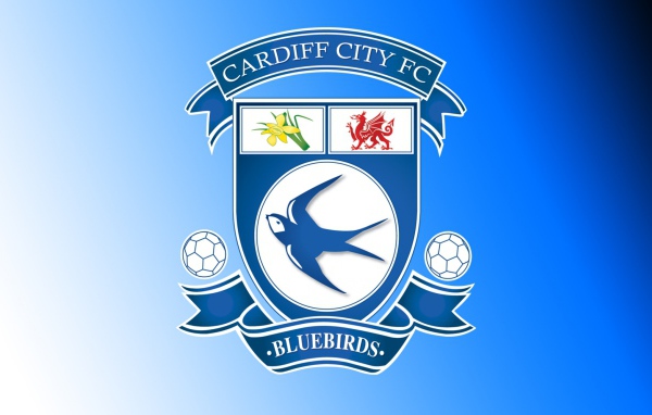 Популярный Футбольный клуб Кардифф Сити