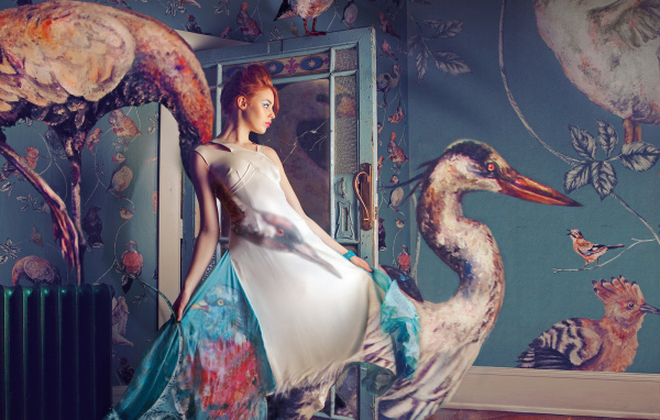 Фотография Цветная комната