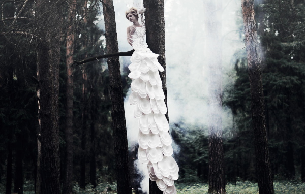 Фотография Девушка на дереве