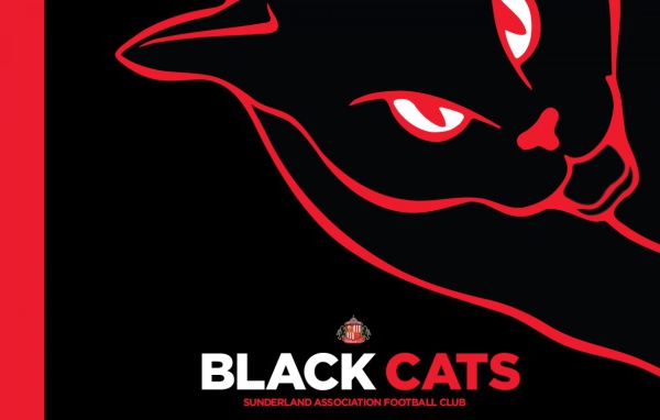 Любимая команда футбола Англии Сандерленд