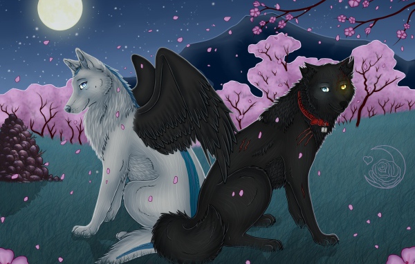 Волки с крыльями